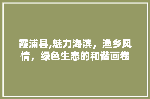 霞浦县,魅力海滨，渔乡风情，绿色生态的和谐画卷