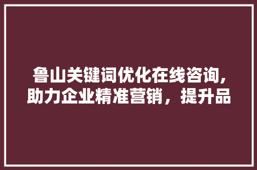 鲁山关键词优化在线咨询,助力企业精准营销，提升品牌影响力  第1张