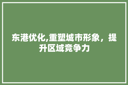 东港优化,重塑城市形象，提升区域竞争力