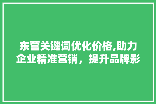 东营关键词优化价格,助力企业精准营销，提升品牌影响力  第1张