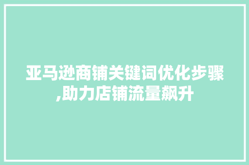 亚马逊商铺关键词优化步骤,助力店铺流量飙升  第1张