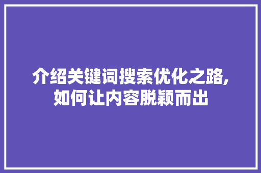 介绍关键词搜索优化之路,如何让内容脱颖而出