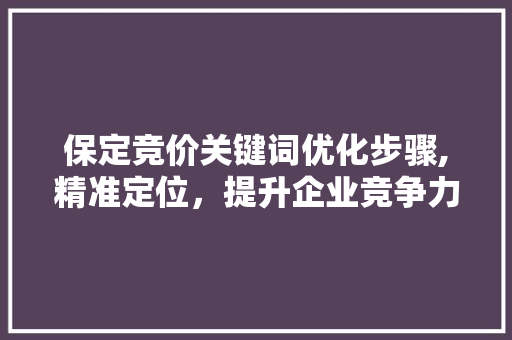 保定竞价关键词优化步骤,精准定位，提升企业竞争力  第1张