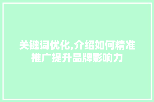 关键词优化,介绍如何精准推广提升品牌影响力