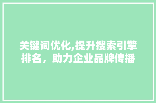 关键词优化,提升搜索引擎排名，助力企业品牌传播  第1张