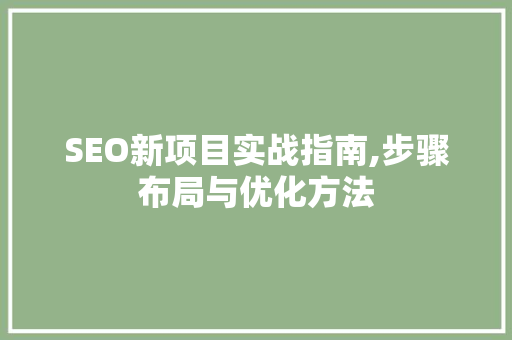 SEO新项目实战指南,步骤布局与优化方法  第1张