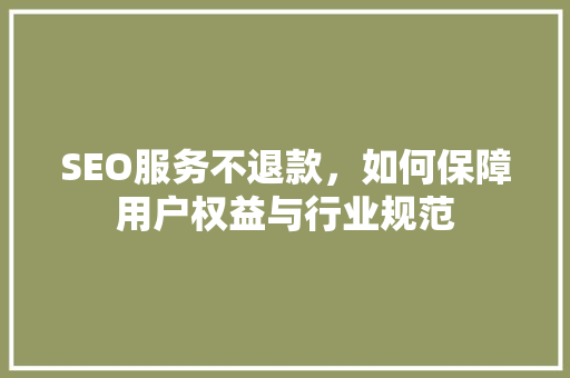 SEO服务不退款，如何保障用户权益与行业规范