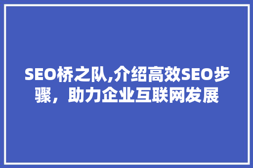 SEO桥之队,介绍高效SEO步骤，助力企业互联网发展