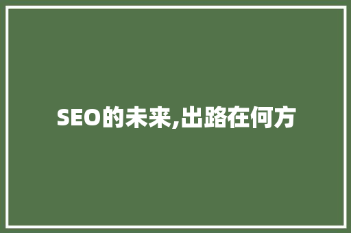 SEO的未来,出路在何方