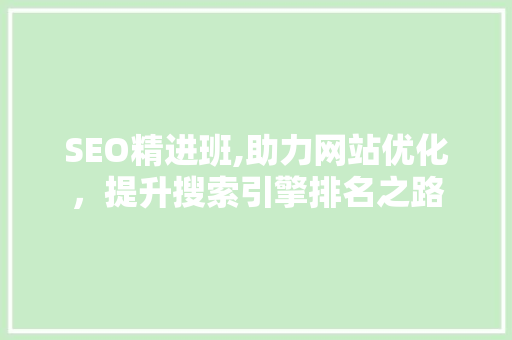 SEO精进班,助力网站优化，提升搜索引擎排名之路  第1张