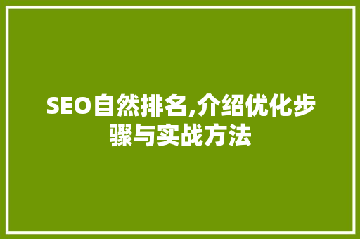 SEO自然排名,介绍优化步骤与实战方法