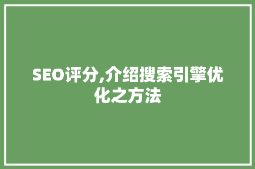 SEO评分,介绍搜索引擎优化之方法  第1张