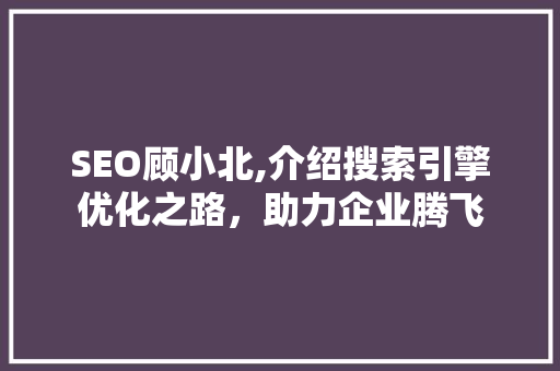 SEO顾小北,介绍搜索引擎优化之路，助力企业腾飞