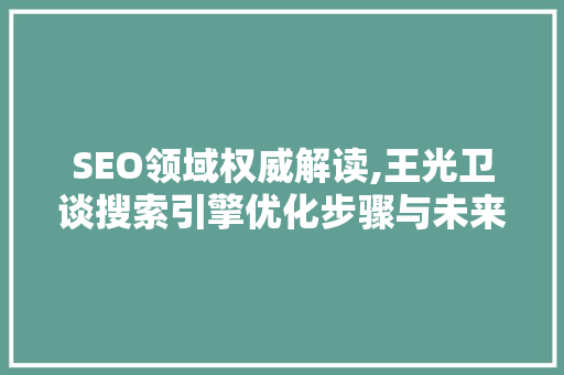 SEO领域权威解读,王光卫谈搜索引擎优化步骤与未来趋势  第1张