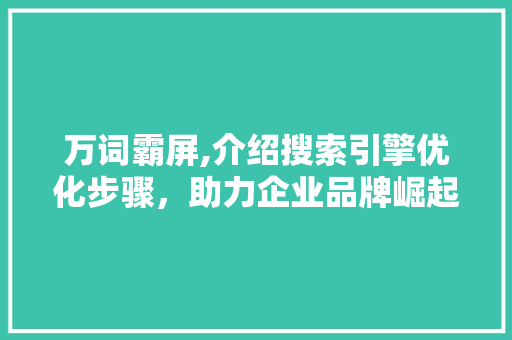 万词霸屏,介绍搜索引擎优化步骤，助力企业品牌崛起