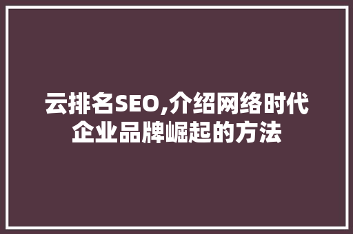 云排名SEO,介绍网络时代企业品牌崛起的方法