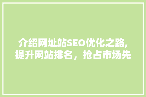 介绍网址站SEO优化之路,提升网站排名，抢占市场先机
