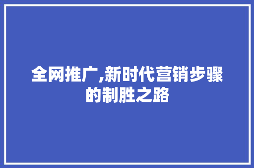 全网推广,新时代营销步骤的制胜之路