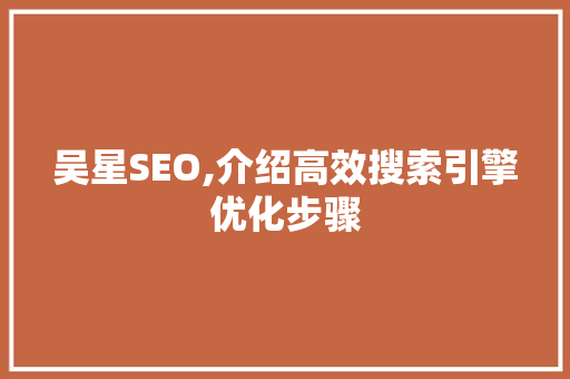 吴星SEO,介绍高效搜索引擎优化步骤