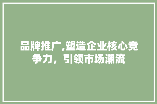 品牌推广,塑造企业核心竞争力，引领市场潮流