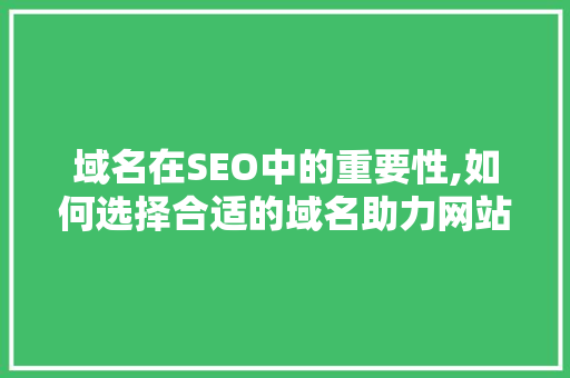 域名在SEO中的重要性,如何选择合适的域名助力网站优化  第1张