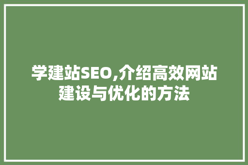 学建站SEO,介绍高效网站建设与优化的方法