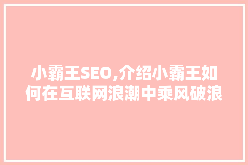 小霸王SEO,介绍小霸王如何在互联网浪潮中乘风破浪