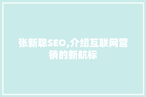 张新聪SEO,介绍互联网营销的新航标  第1张
