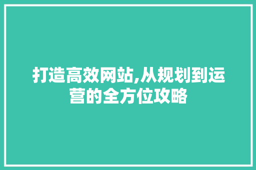 打造高效网站,从规划到运营的全方位攻略