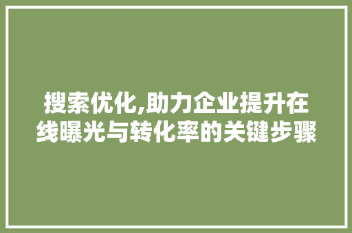 搜索优化,助力企业提升在线曝光与转化率的关键步骤