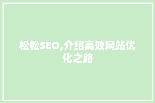 松松SEO,介绍高效网站优化之路