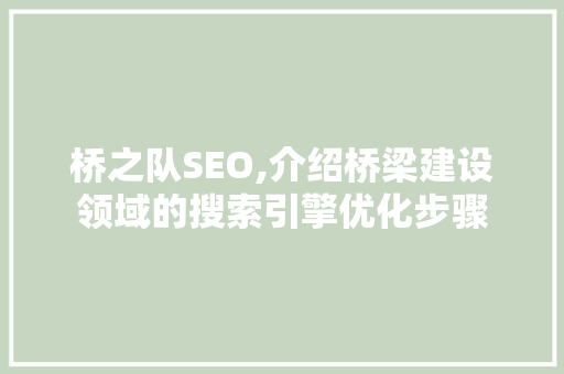 桥之队SEO,介绍桥梁建设领域的搜索引擎优化步骤