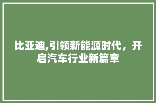 比亚迪,引领新能源时代，开启汽车行业新篇章