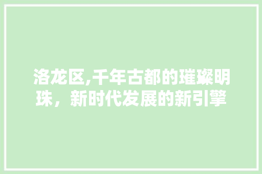 洛龙区,千年古都的璀璨明珠，新时代发展的新引擎  第1张