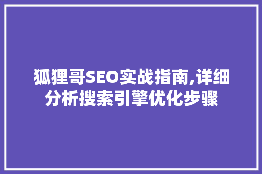 狐狸哥SEO实战指南,详细分析搜索引擎优化步骤  第1张