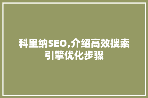 科里纳SEO,介绍高效搜索引擎优化步骤  第1张