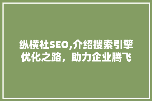 纵横社SEO,介绍搜索引擎优化之路，助力企业腾飞