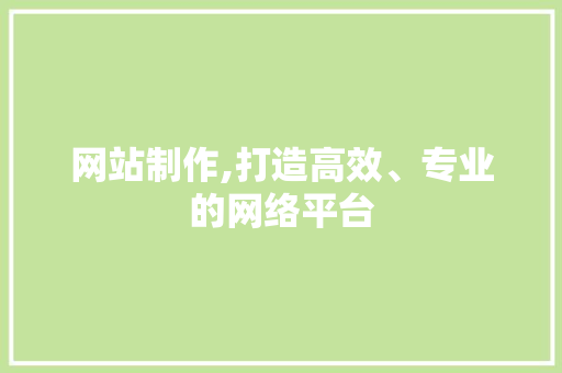 网站制作,打造高效、专业的网络平台