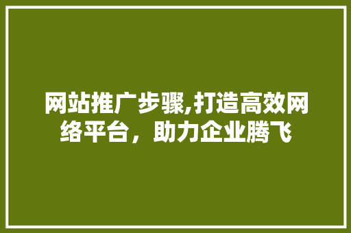 网站推广步骤,打造高效网络平台，助力企业腾飞  第1张
