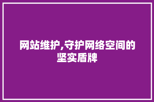 网站维护,守护网络空间的坚实盾牌