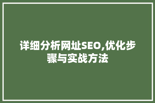 详细分析网址SEO,优化步骤与实战方法