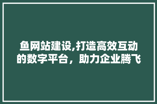 鱼网站建设,打造高效互动的数字平台，助力企业腾飞