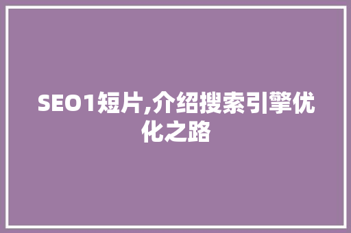 SEO1短片,介绍搜索引擎优化之路