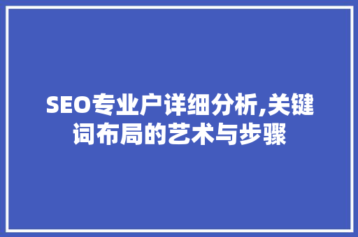 SEO专业户详细分析,关键词布局的艺术与步骤