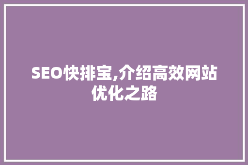 SEO快排宝,介绍高效网站优化之路