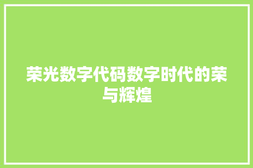 荣光数字代码数字时代的荣与辉煌
