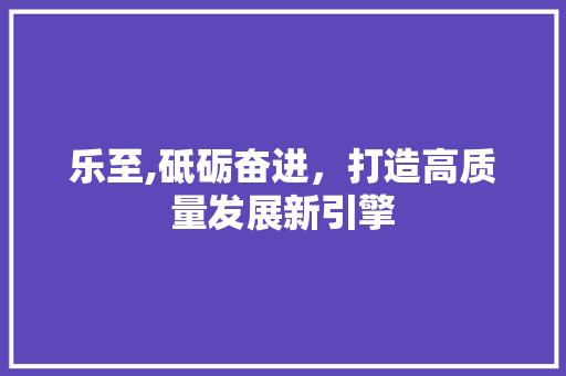 乐至,砥砺奋进，打造高质量发展新引擎