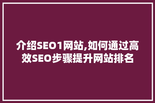 介绍SEO1网站,如何通过高效SEO步骤提升网站排名