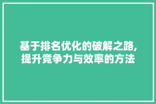 基于排名优化的破解之路,提升竞争力与效率的方法