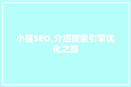 小强SEO,介绍搜索引擎优化之路
